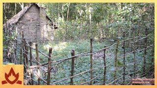 Primitive Technology Sweet potato patch [upl. by Annaerda]