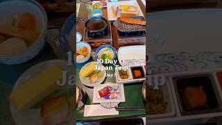 🎌 Mini Vlog 10Day Japan Trip  Day 5 Hakone → Miyajima ⛴️  日本 japantravel [upl. by Yffat798]