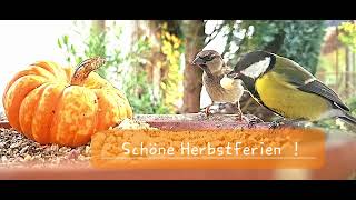 Schöne Herbstferien [upl. by Anitsrhc]