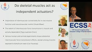 Importance of Intermuscular Connectivity for in Vivo Muscle Function and Neuromuscular  Dr Maas [upl. by Sinne]