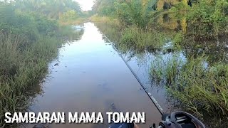 NIATNYA MANCING GABUS BANJIRAN MALAH DISAMBAR MAMA TOMAN GARAquot PAKAI UMPAN BOYTEP JAWS [upl. by Elram]