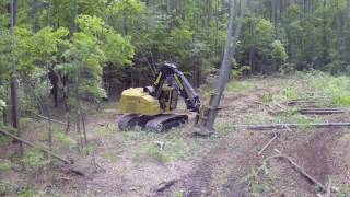 Tigercat 845D Feller Buncher in North Carolina [upl. by Hgielrak]