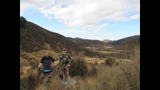 In Pursuit of Sika Deer  Harkness Hut Kaweka Ranges 2023 [upl. by Judah]