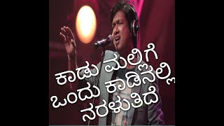 KAADU MALLIGE ONDU by Vijay Prakash [upl. by Ttehr]