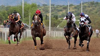 Carreras de Caballos en Nogales 20 de Agosto2023 [upl. by Cheria500]