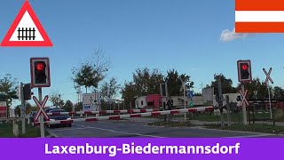 Železniční přejezdBahnübergang LaxenburgBiedermannsdorf A  28102023 [upl. by Murphy696]