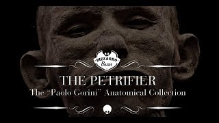 The Petrifier  Booktrailer [upl. by Anelah468]