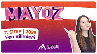 Mayoz Konu Anlatımı  7 Sınıf Fen Bilimleri  2025 [upl. by Reddy62]