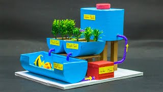 Science Projects  Aquaponic Farming Model [upl. by Onil]