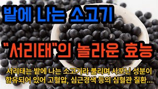 서리태의 효능과 부작용  건강  건강 비법  건강 정보  레시피 [upl. by Eylrahc]