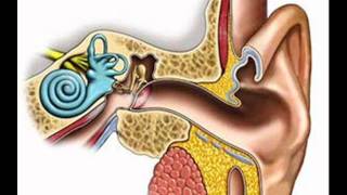 Benign Paroxysmal Positional Vertigo BPPV  ICSP  HEALTH EDUCATION  URDU  HINDI [upl. by Ielak]