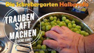 Traubensaft selber machen aus eigenen Weintrauben [upl. by Vonni934]