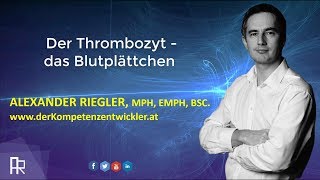 Der Kompetenzentwickler  Die Thrombozyten [upl. by Nolie]