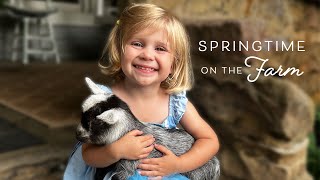 Springtime on the FARM  moving with animals [upl. by Peers]