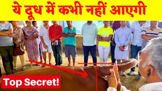 Productive Gir Cow Identifiction amp Devlopment  Gir Cow Training Camp [upl. by Limann]