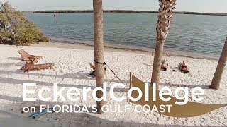 Day in the life of an Eckerd student [upl. by Alverta]