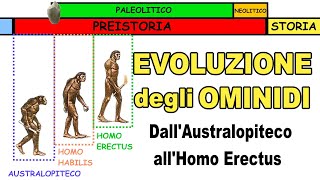 🐒➡🚶🏻‍♂️ LEVOLUZIONE DEGLI OMINIDI dallAustralopiteco allHomo Erectus 🔥 Storia Scuola Primaria [upl. by Obadiah]