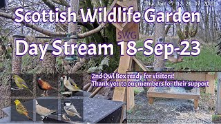 Day Stream September 18th 2023  Bird Feeders Wildlife Cameras Scotland UK from SWG [upl. by Ahsuat]