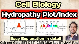 CellBiology Hydropathy Plot csirnet csir Hydropathy plot [upl. by Drugge]