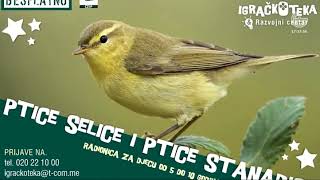 27062022 Gradska TV Ptice selice i ptice stanarice [upl. by Muller]