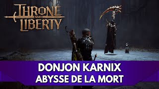 Throne and Liberty Gameplay FR  Lets Play  Donjon Karnix Abysse de la Mort [upl. by Nnaeiram]