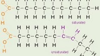 Biochemistry  Lipids  Fatty acids nomenclature saturated amp unsaturated Cis vs Trans [upl. by Gregorius974]