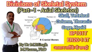 Divisions of Skeletal System  Axial Skeleton  Human Anatomy amp Physiology  BP101T amp ER2014T [upl. by Rooney]