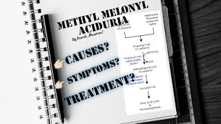 Methylmalonic Aciduria  Metabolic defect in Amino Acid metabolism  Biochemistry 📍 [upl. by Michail129]