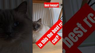 The best buggyautomobile bestbuggy wltoys cat [upl. by Enerual]