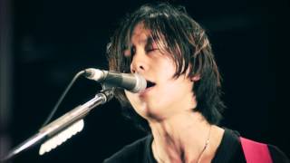 ストレイテナー「NO ～命の跡に咲いた花～」Sky Jamboree 2015 ライブバージョン [upl. by Lavinie]