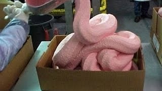 Pink Slime Ground Beef Returns to School Lunches in 4 States [upl. by Sada]