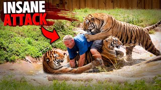 This Man SNEAKS Into Tigers Den And Gets FATALLY Mauled By 3 Tigers [upl. by Dlorej397]