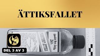 ÄTTIKSFALLET  DEL 3 AV 3 [upl. by Nayhr]