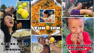 Gau ko Amilo🤤nibhuwa🍋 khaiyo😋 Musi le 2pm Banayera khayo Ramailo Vlog😉 Apsara Rai [upl. by Brindle41]