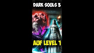 Das große Level 1 Projekt [upl. by Esaertal]