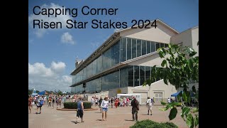 Capping Corner Risen Star Stakes 2024 at Fair Grounds [upl. by Ondrej]