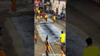 Firewalkingfestival at singapore 🇸🇬 Singaporesrimariammantemple chinatown [upl. by Roseline]