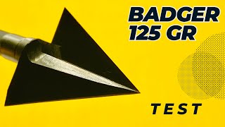 BADGER 125 GR BROADHEAD TEST [upl. by Ennywg418]