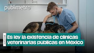 ¡Ya es ley Habrán clínicas VETERINARIAS públicas en México [upl. by Kciredohr]