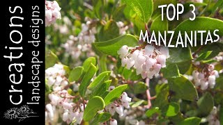 Top 3 Manzanitas To Try In Your Garden  California Native Plants [upl. by Elise]