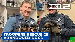 Oregon troopers rescue 25 abandoned dogs from stolen UHaul 2 arrested [upl. by Orlanta679]