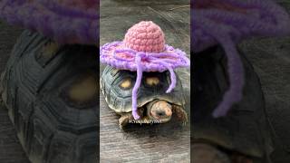 🤠🧶Mini Sombrero Tutorial crochetprojects crochettutorial simplicity888 crochetpatterns diy [upl. by Attenhoj]