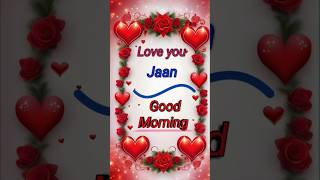 Good morning Jaan 🌹❤️ trending love shorts flower [upl. by Poree22]