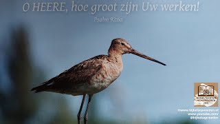 Bijbeltekst zingen Psalm 926a [upl. by Krutz]