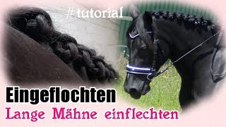 Eingeflochten  Spanische Einflechttechnik Turnierzöpfe für lange Mähne Tutorial [upl. by Ard869]