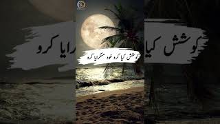 Chand la kr ni dy ga koe youtubeshorts shortsfeed urdupoetry sad [upl. by Ayekat]