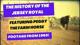 🌱From Field to Plate  Episode 1  The History of the Jersey Royal Potato with footage from 1960 🥔 [upl. by Ostler]