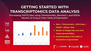 Bulk RNASeq Analysis Processing FASTQ files using Trimmomatic Bowtie2t RSEM Output Overview [upl. by Heshum]