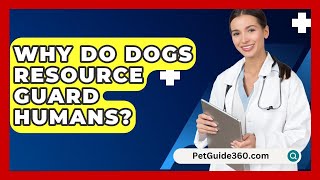 Why Do Dogs Resource Guard Humans  PetGuide360com [upl. by Romo803]