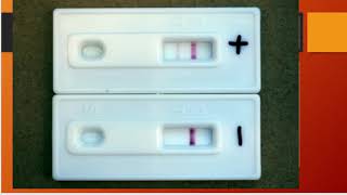 CTC 210 Forensic Chemistry Blood Identification Part 3 HemaStix amp Hematrace [upl. by Gile655]